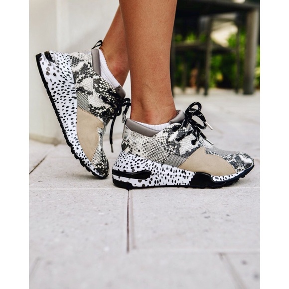 Steve Madden Shoes - Steve Madden Women’s Cliff Natural Snake Sneakers